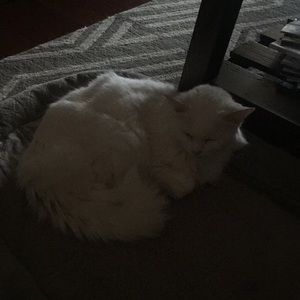 Meet your Posher, Jon